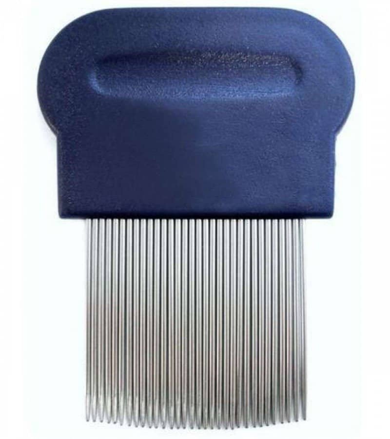 lice-comb-974933